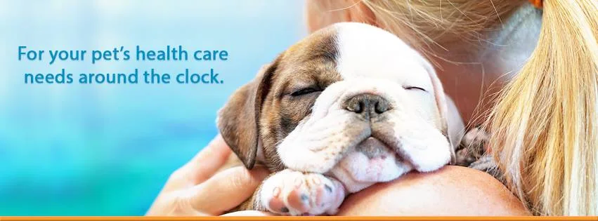 1st Pet Veterinary Centers - Chandler primary photo