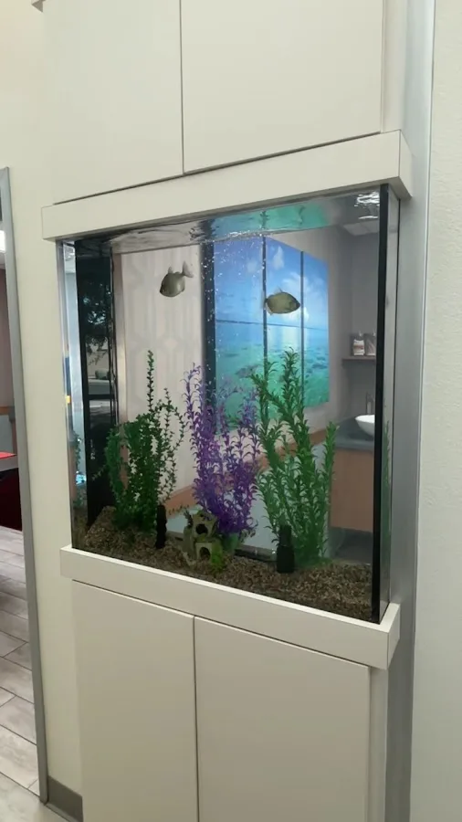 1st Pet Veterinary Centers - Mesa