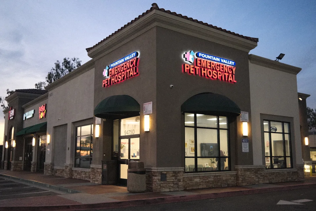 24 Hour Animal Emergency Hospital