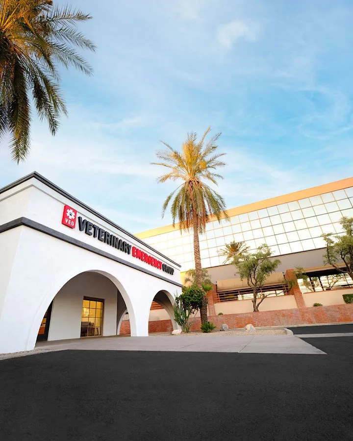 24 Hour Emergency Vet