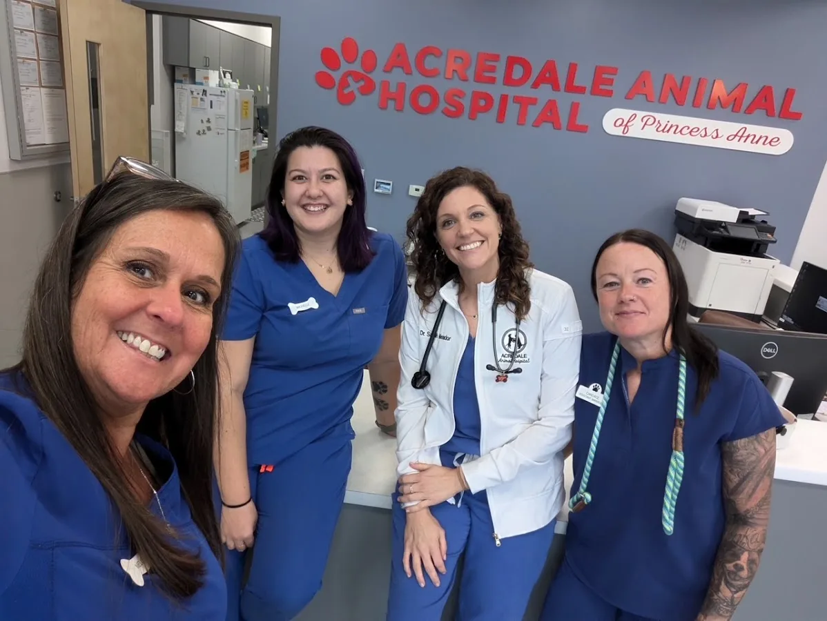 Advanced Animal Care