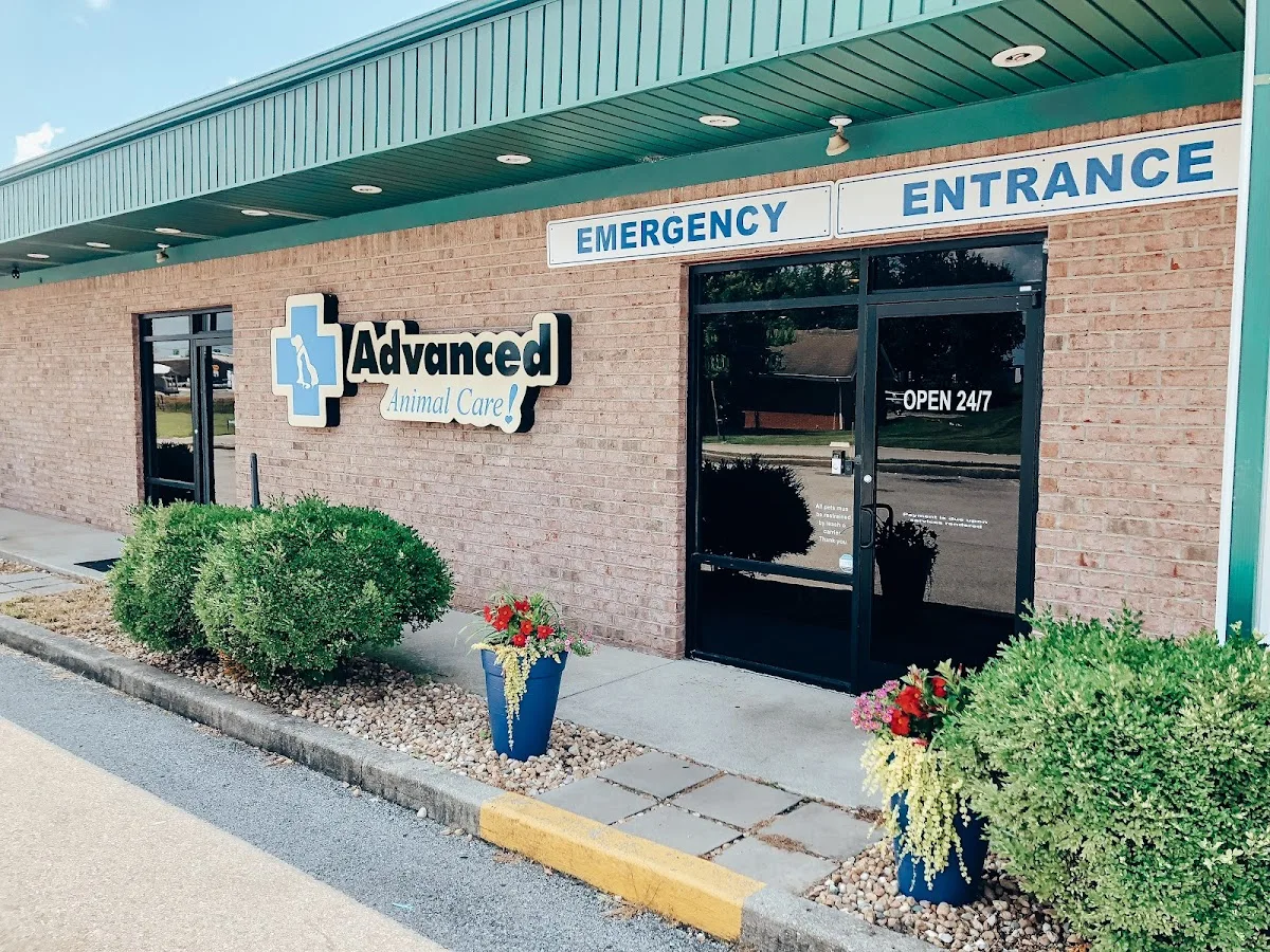 Advanced Animal Care Emergency