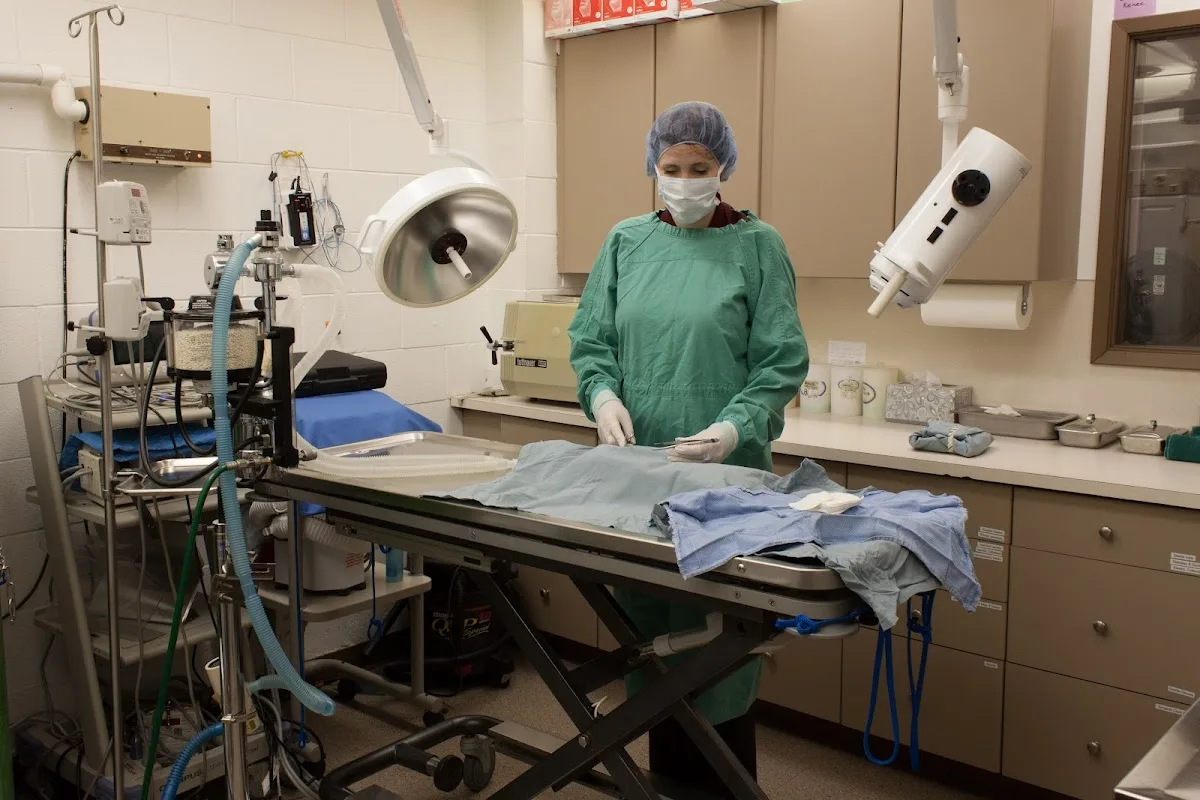 Aerowood Animal Hospital Ps Inc: Kornmann Conrad DVM primary photo