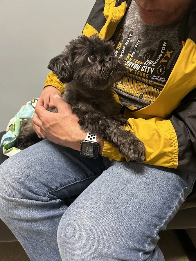 Affiliated Veterinary Emergency Service