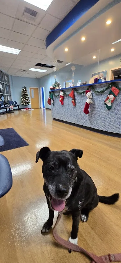 Affordable Animal Emergency Clinic