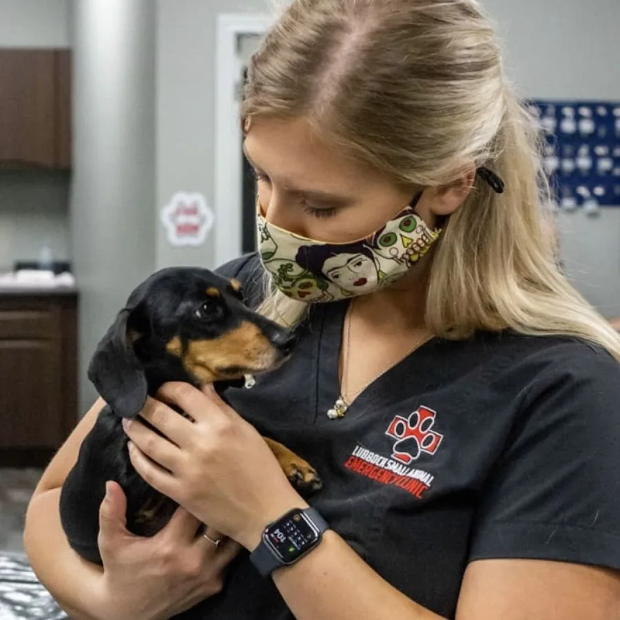 After Hours Vet Clinic