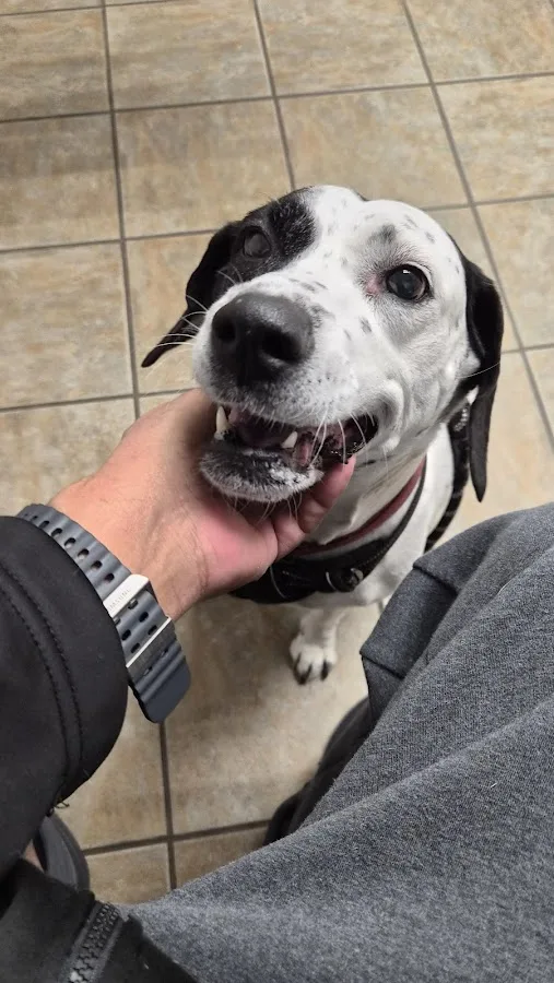 Airport Animal Emergi-Center