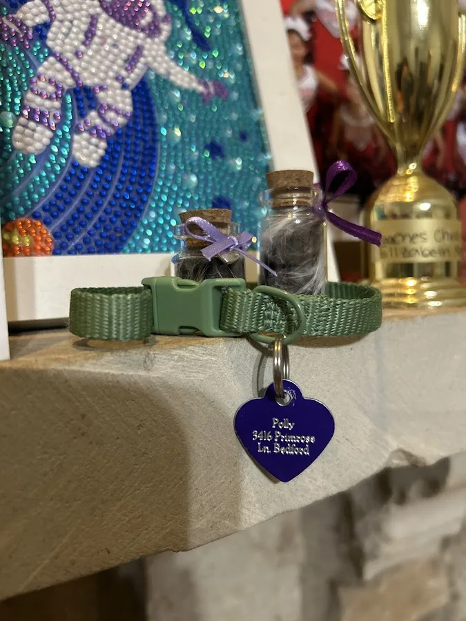 Airport Freeway Animal Emergency Hospital