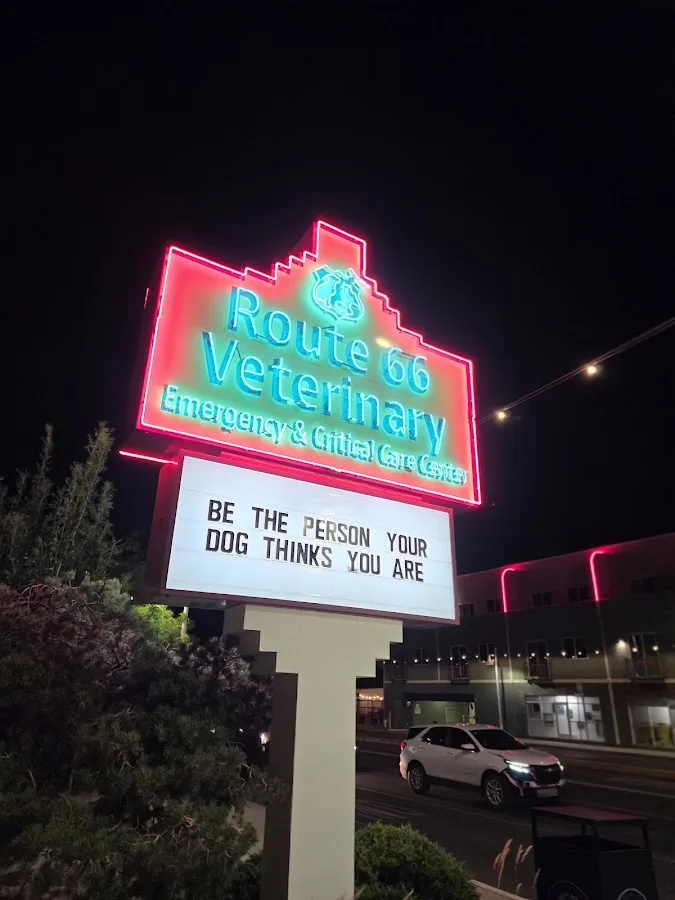 Albuquerque Veterinary: Malin Paul B DVM