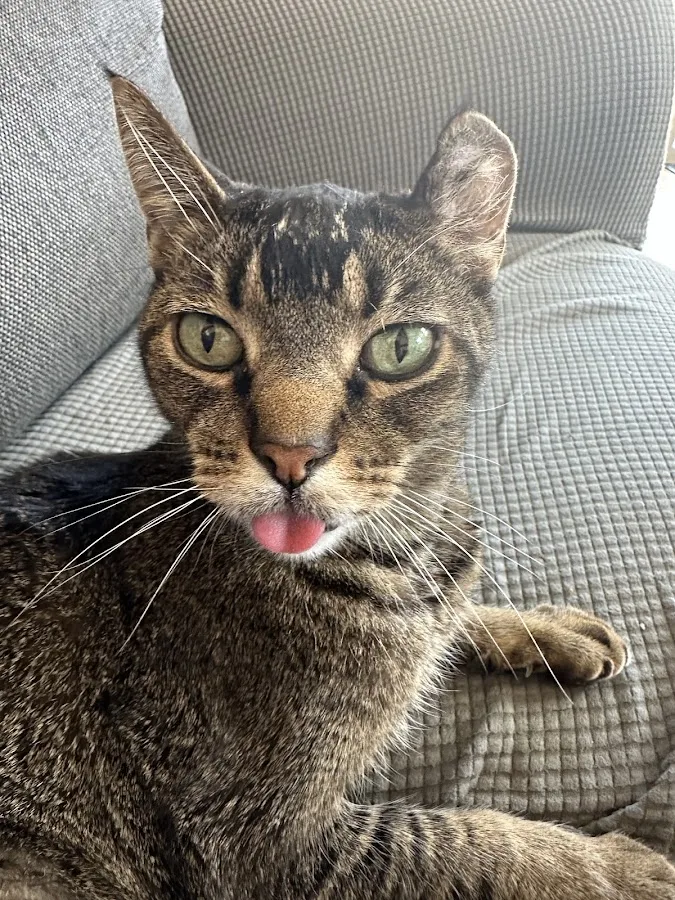 Albuquerque Veterinary: Malin Paul B DVM