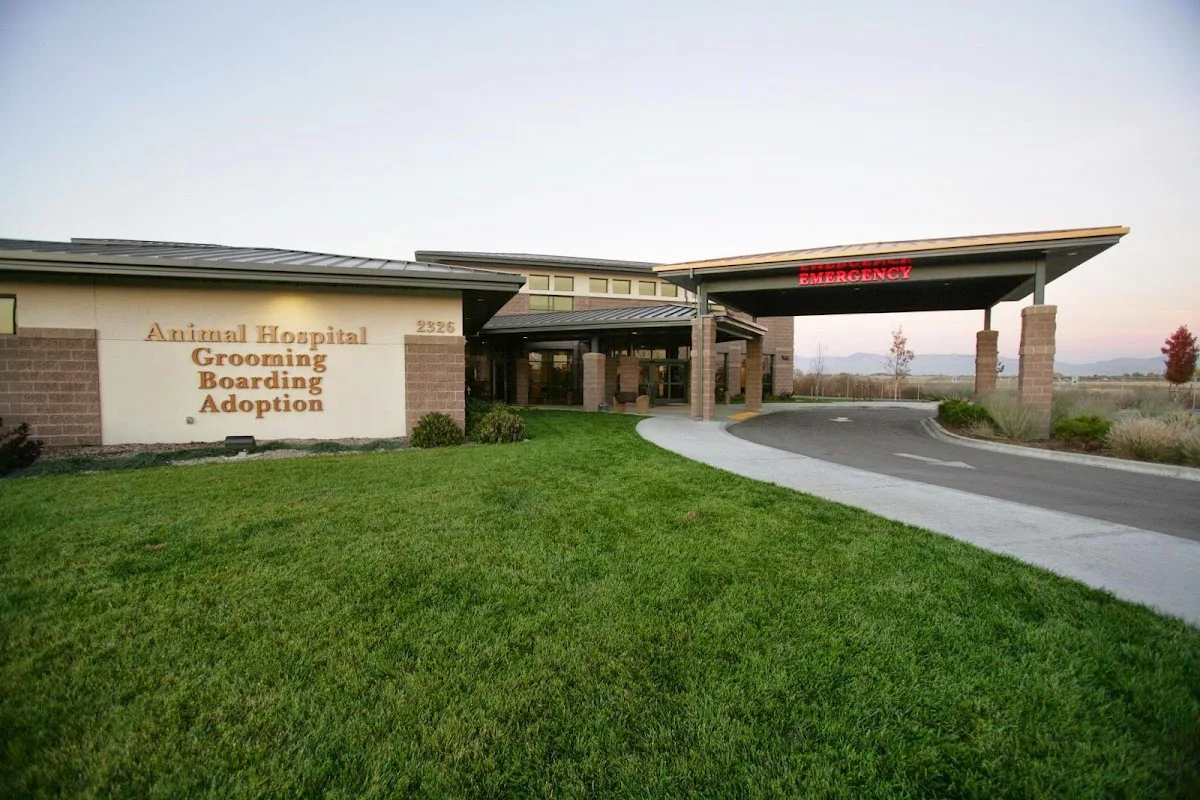 All Valley Animal Care Center