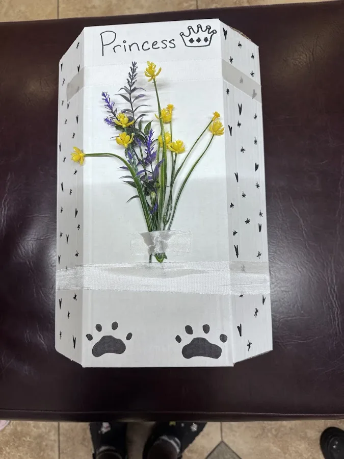 All Valley Animal Care Center