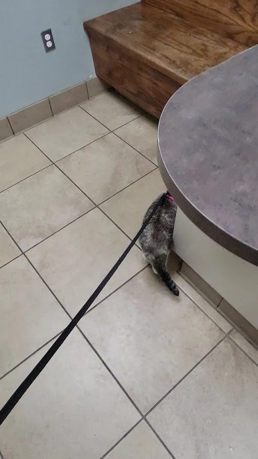 Allied Veterinary Emergency Hospital