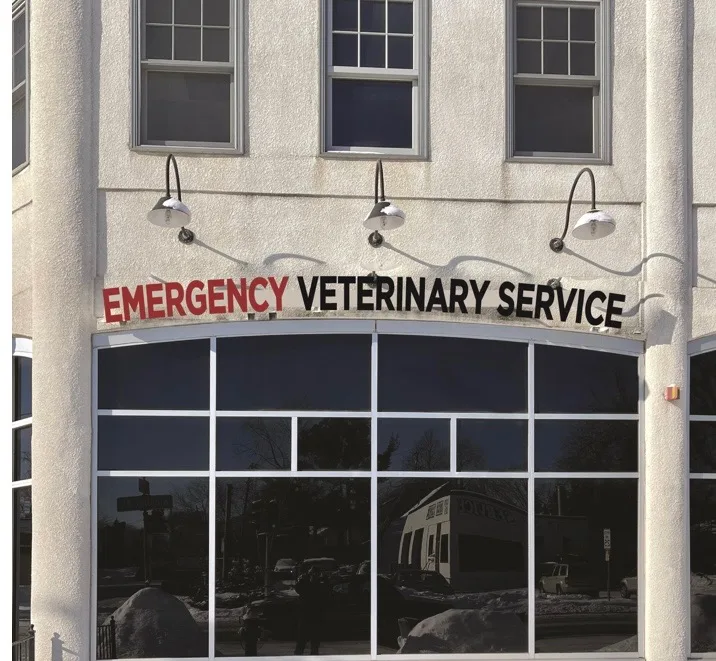 Allied Veterinary Emergency & Referral