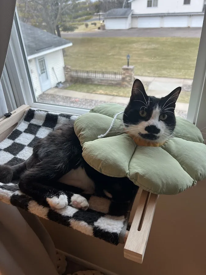 Allied Veterinary Emergency & Referral