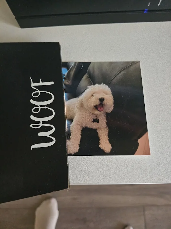 Alma School Animal Hospital