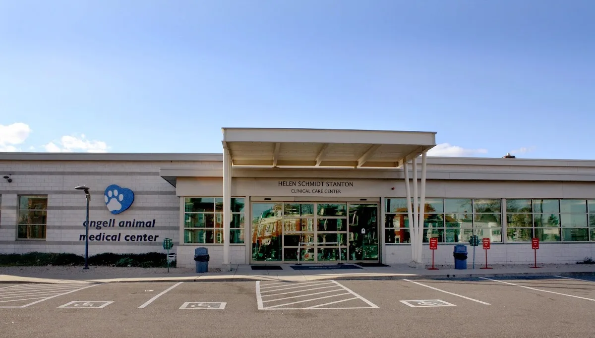 Angell Animal Medical Center