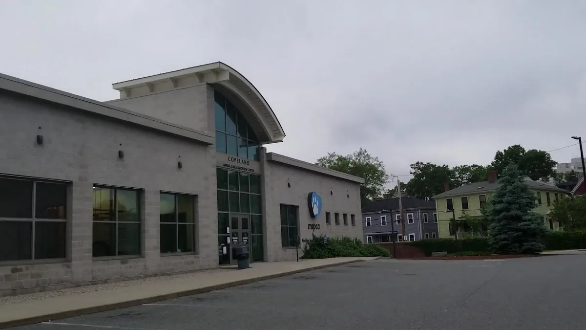 Angell Animal Medical Center