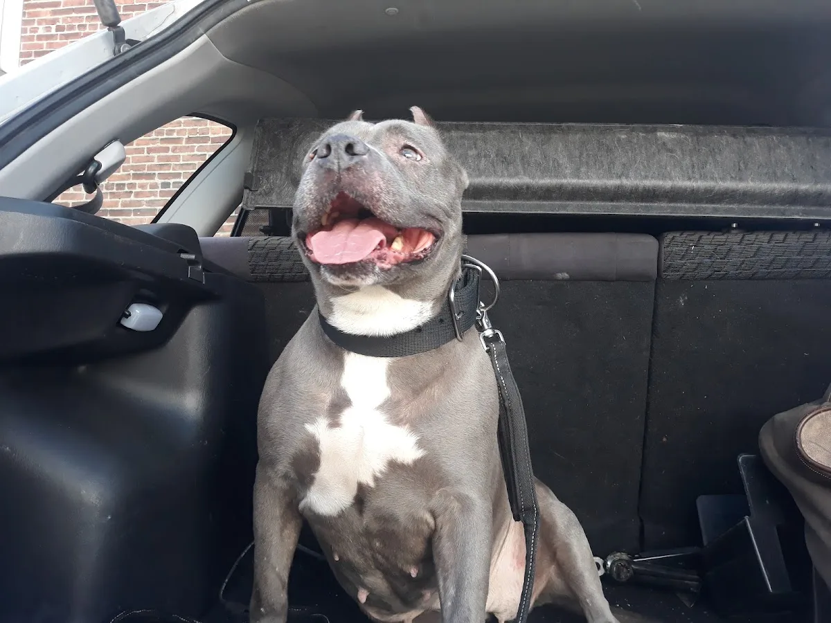 Animal Clinic & Hospital: Yoo Sung H DVM