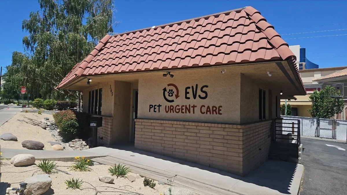 Animal Emergency and Specialty Center