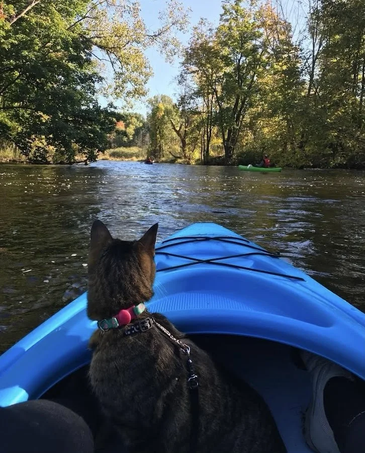 Animal Emergency and Specialty Hospital of Byron Center