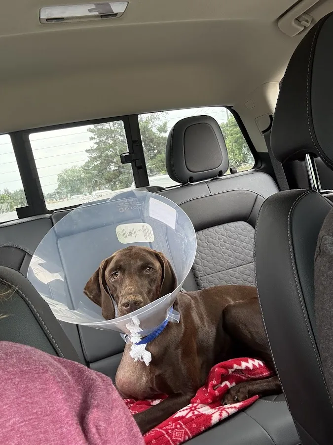 Animal Emergency Center - Novi