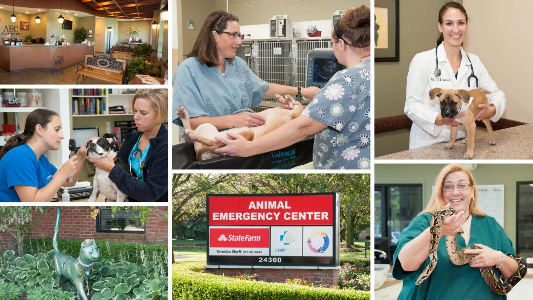 Animal Emergency Center - Novi