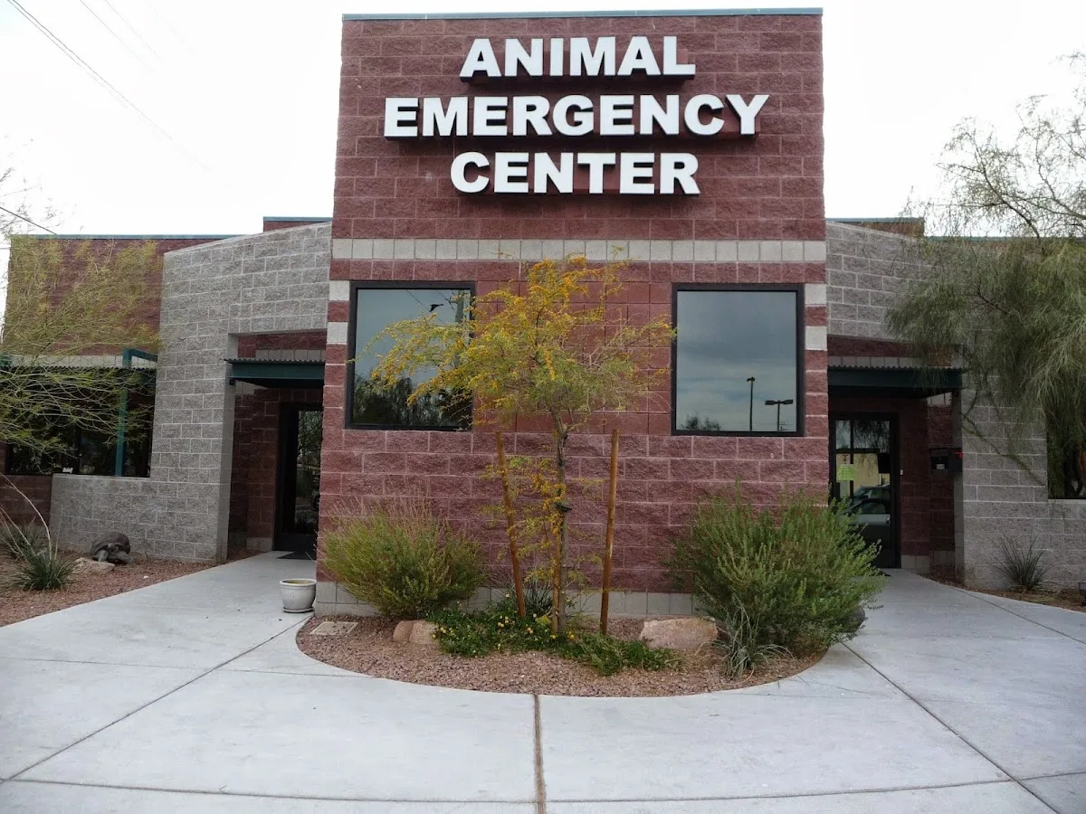 Animal Emergency Center of Las Vegas and Henderson