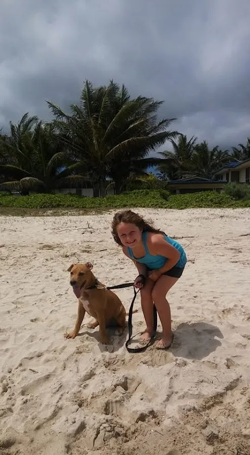 Animal Emergency Center of Tulsa