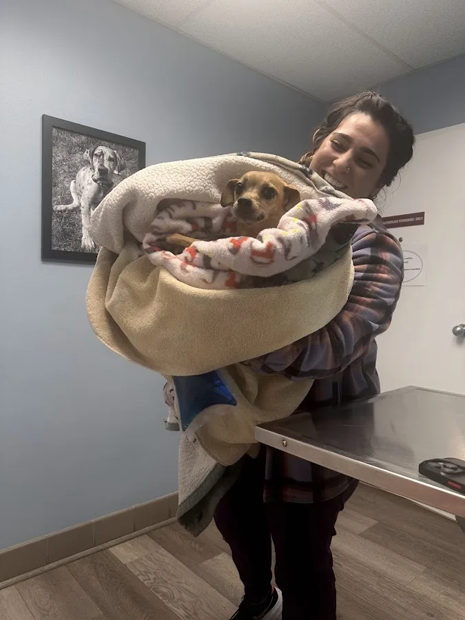 Animal Emergency Clinic