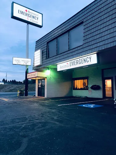 Animal Emergency Clinic
