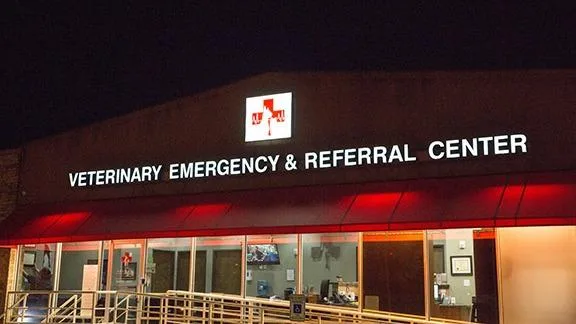 Animal Emergency Clinic NE primary photo