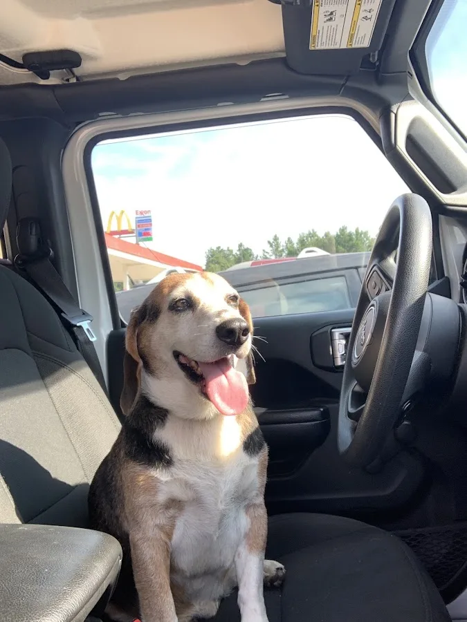 Animal Emergency & Referral Center