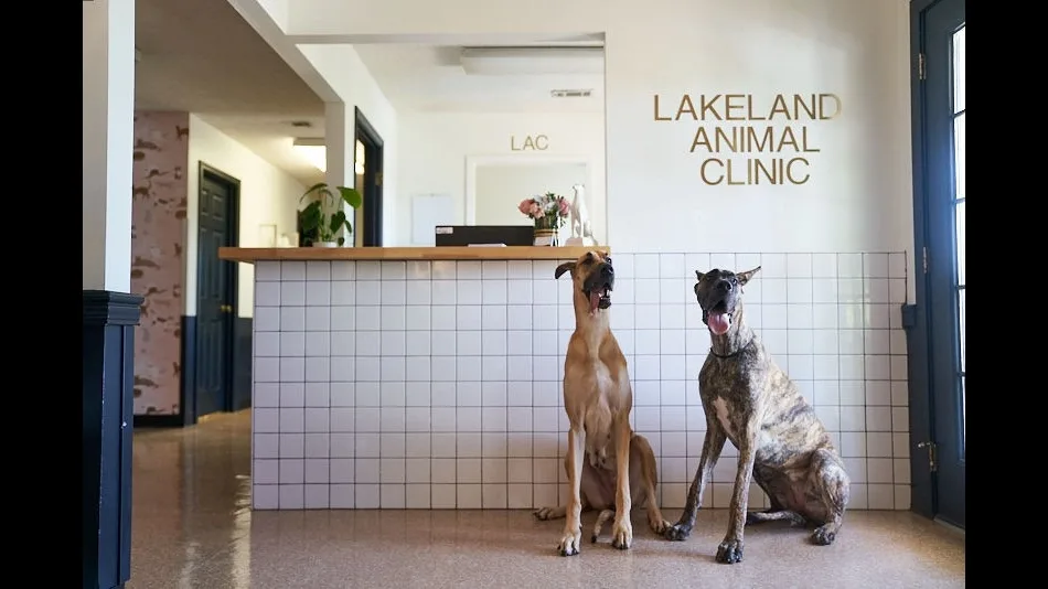 Animal Emergency & Referral Center