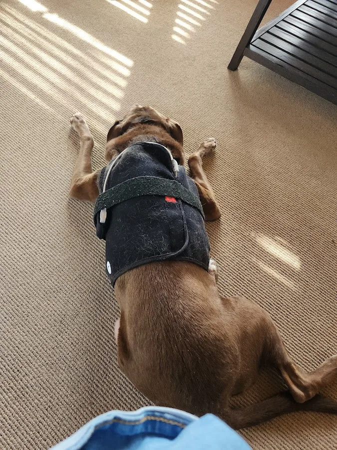 Animal Emergency & Referral Center of Minnesota (AERC)