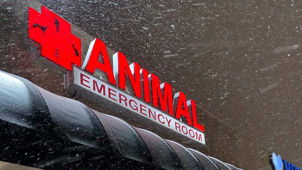 Animal Emergency Room