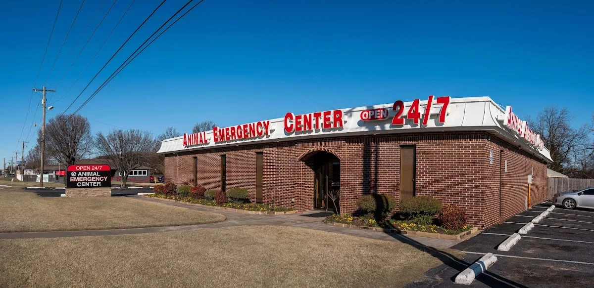 Animal Emergency & Surgical Center