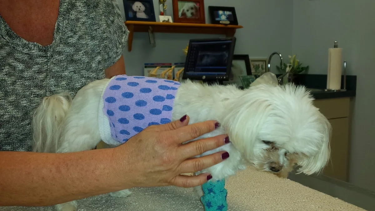 Animal Emergency & Trauma Center