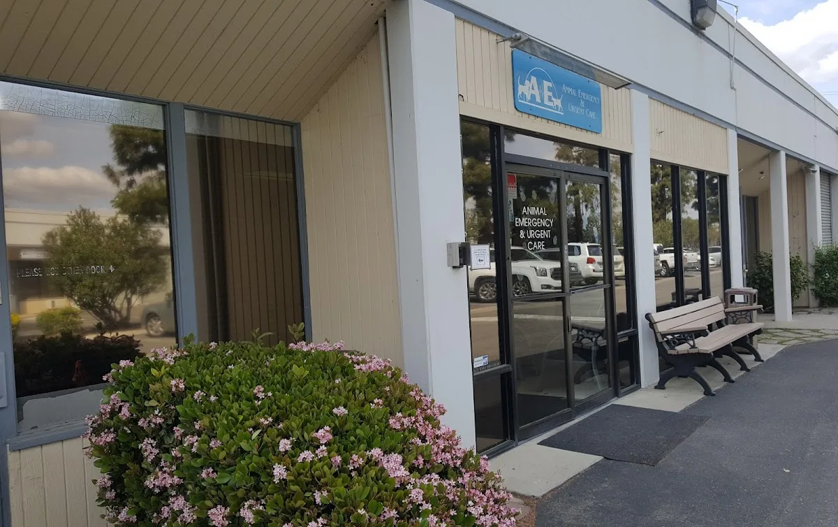 Animal Emergency & Urgent Care