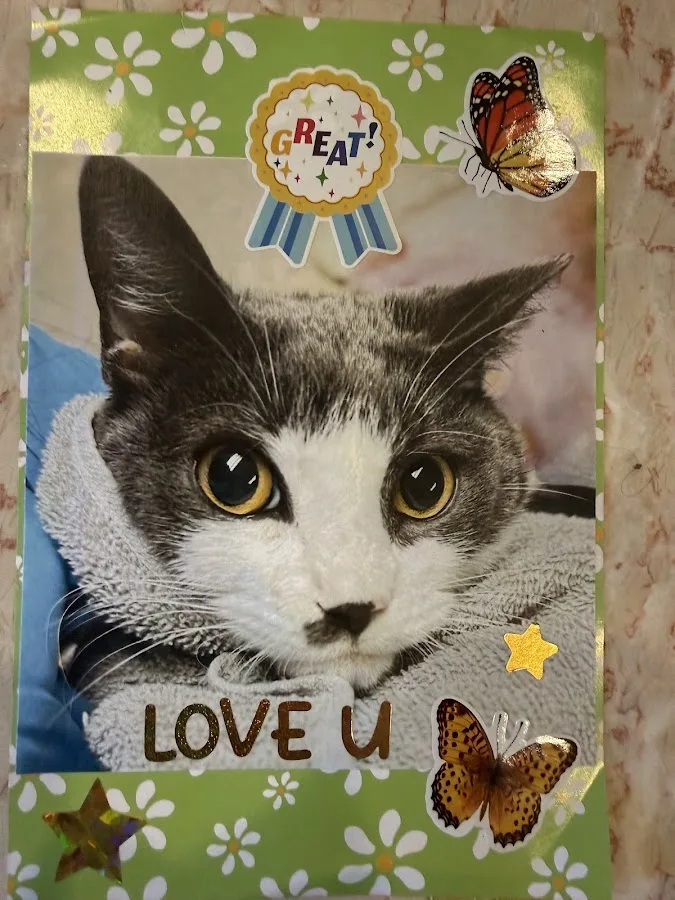 Animal Specialty Center