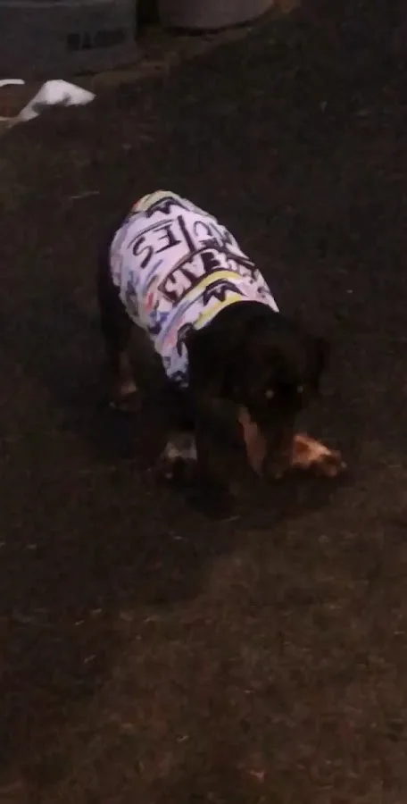 Animal Specialty Center