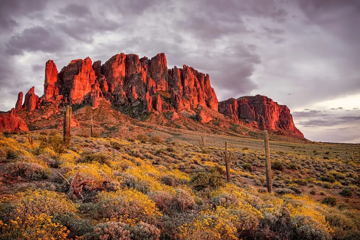 Arizona Healthy Pet Hospitals