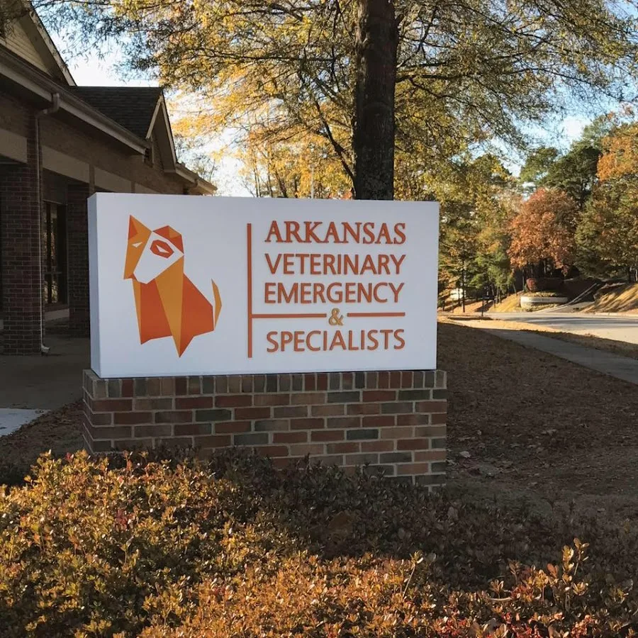 Arkansas Veterinary Emergency & Specialists