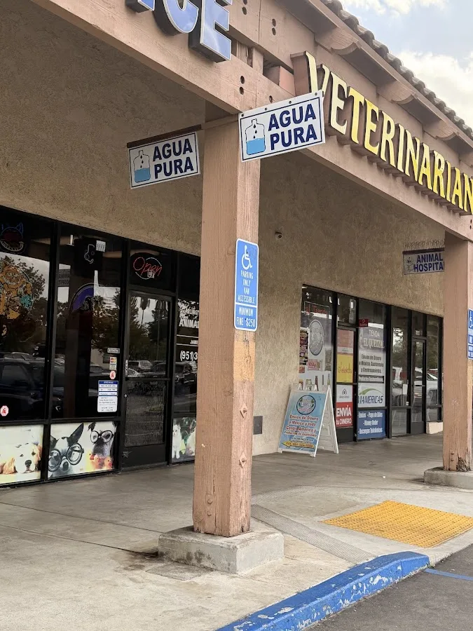 Arlington Animal Hospital: To Nina DVM