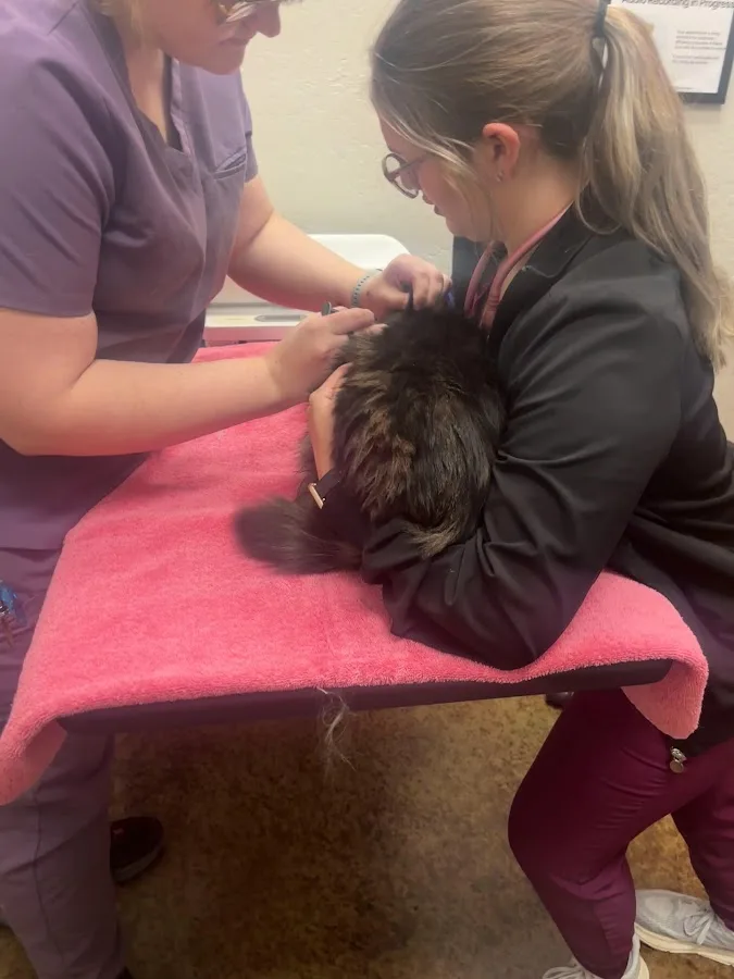 Augusta Ranch Animal Hospital