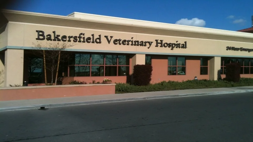 Bakersfield Veterinary Hospital: Reid Andrea DVM