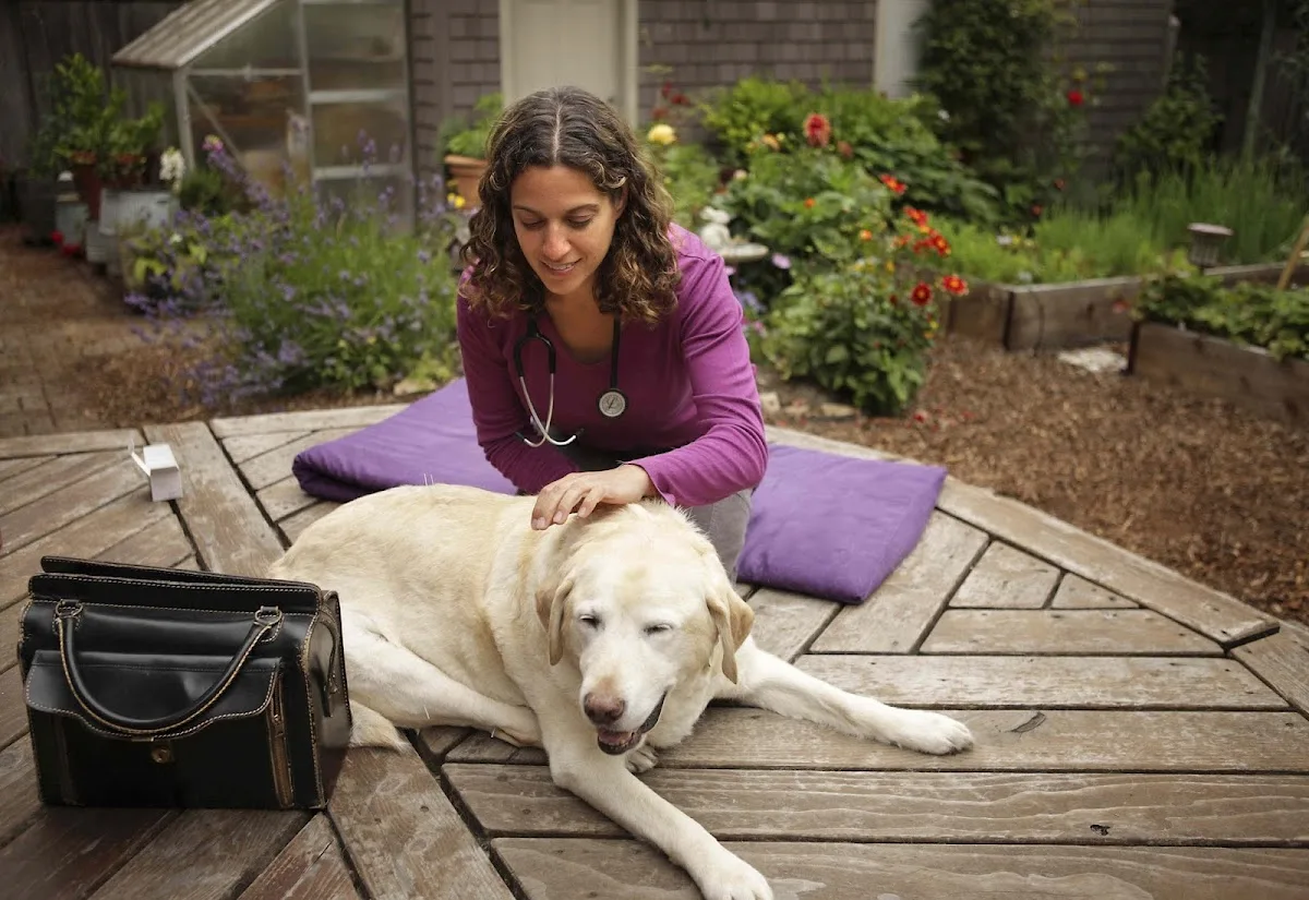 Bay Area Veterinary Housecall Associates