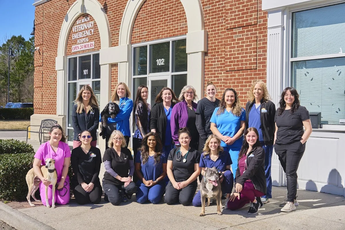 Bay Beach Veterinary Emergency Hospital primary photo