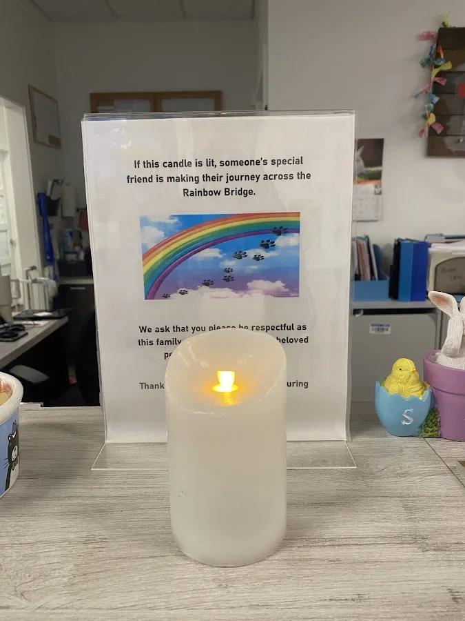 Bay Beach Veterinary Emergency Hospital