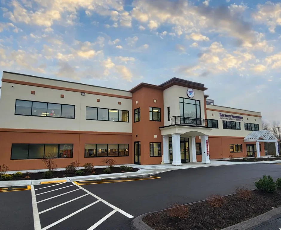 Bay State Veterinary Emergency & Specialty Services